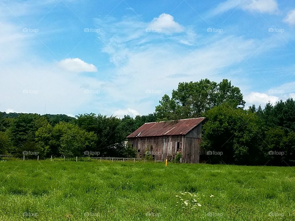 Driving the Back Roads and enjoying everything around us