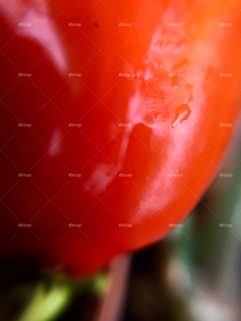 Extreme closeup of water on a tomato.