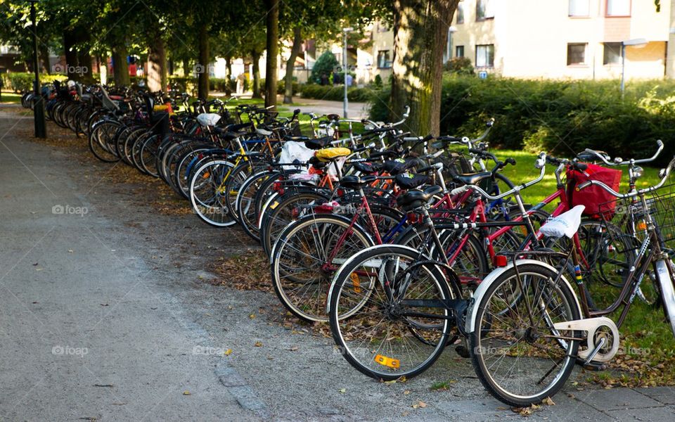 Bicycles in Malmo