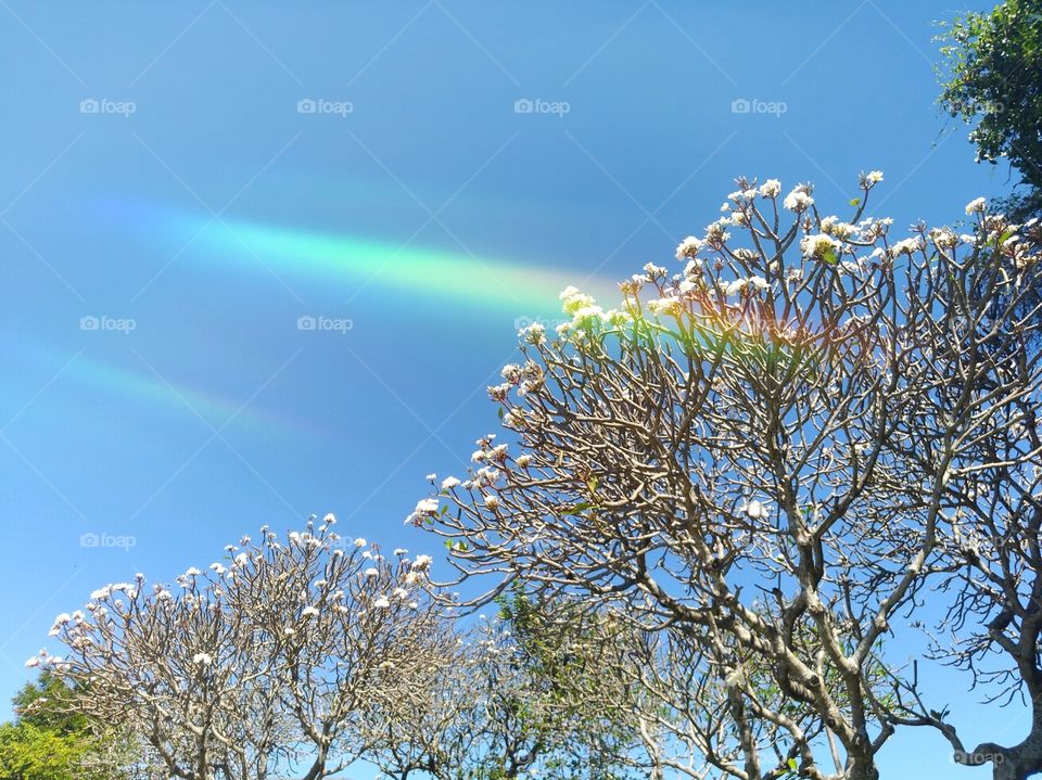 Rainbow Light 3