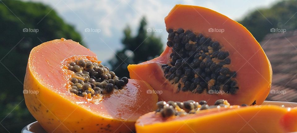 Papaya