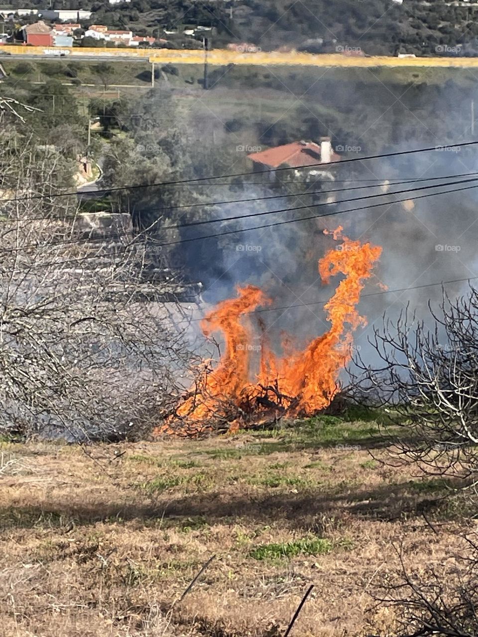 Incêndio, Incêndios em Portugal, Fire 