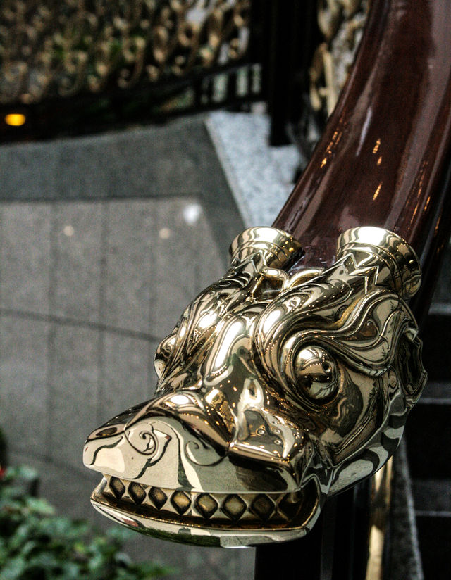dragon
