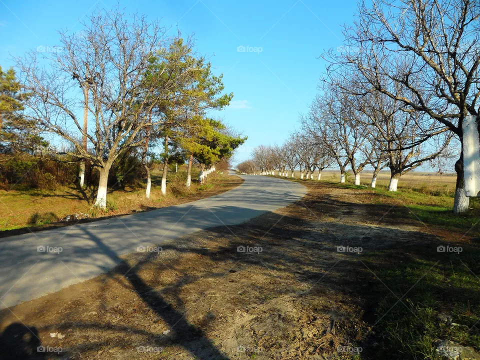 Beautiful rural life