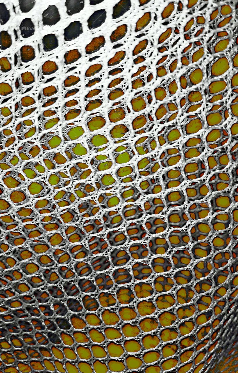 pretty net