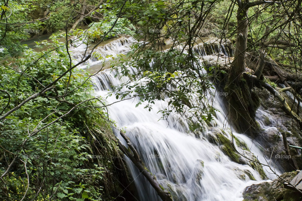 Waterfall in a forest 