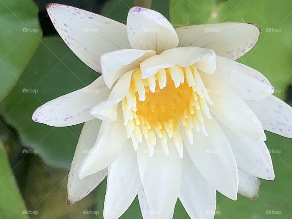 The stories of the nature, Countryside (Thailand)