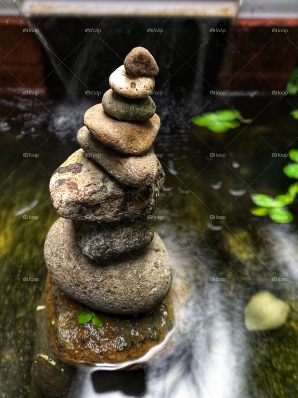 stacking rocks in the fish pond 