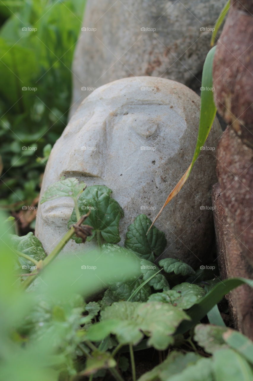 Ruins, ancient remains, a head from the ground, a stone head, a monument in the ground, ancient civilizations, Maya, archaeological finds, stone heads, Easter Island, dolmens, menhirs,