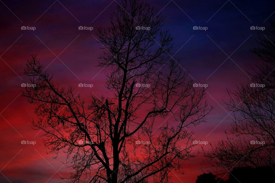 When daylight enters twilight, deep reds and dark hues create amazing silhouettes!