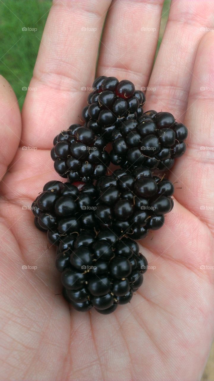 Handful of BlackBerries