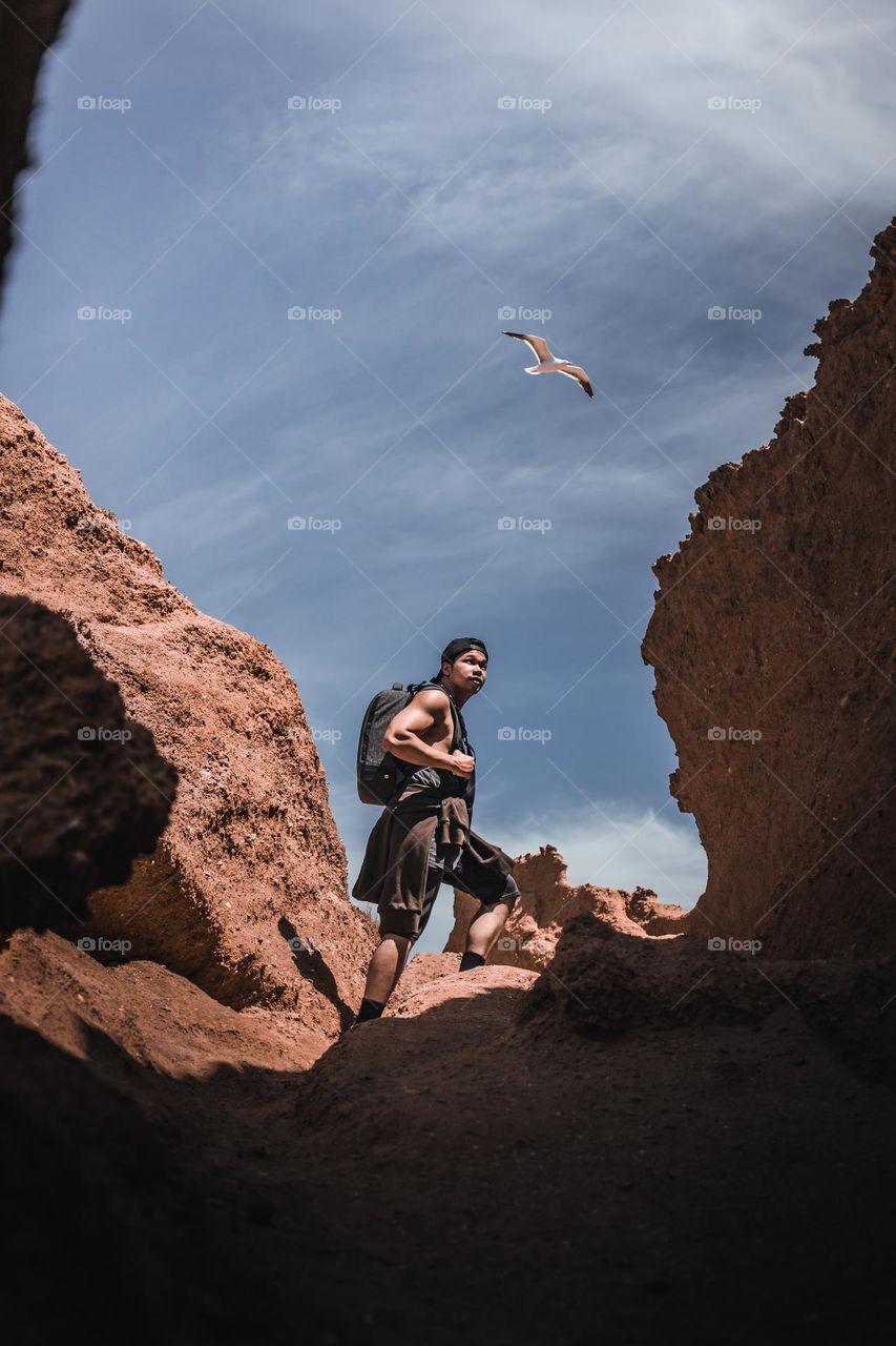 Man hiking with bird