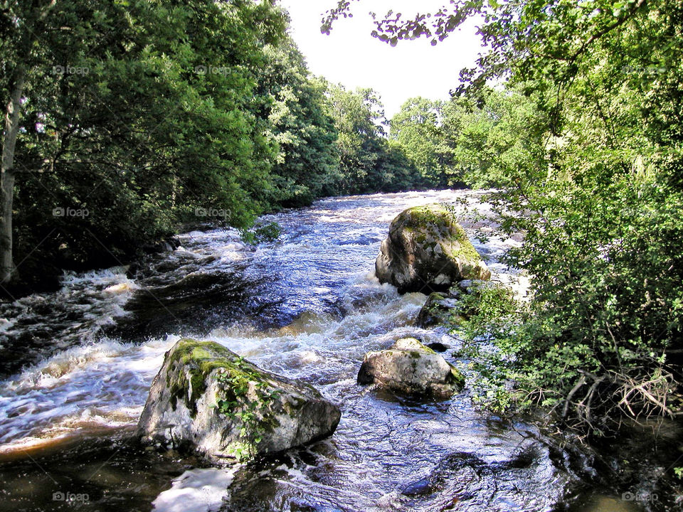 Utflykt till Mörrumsån
