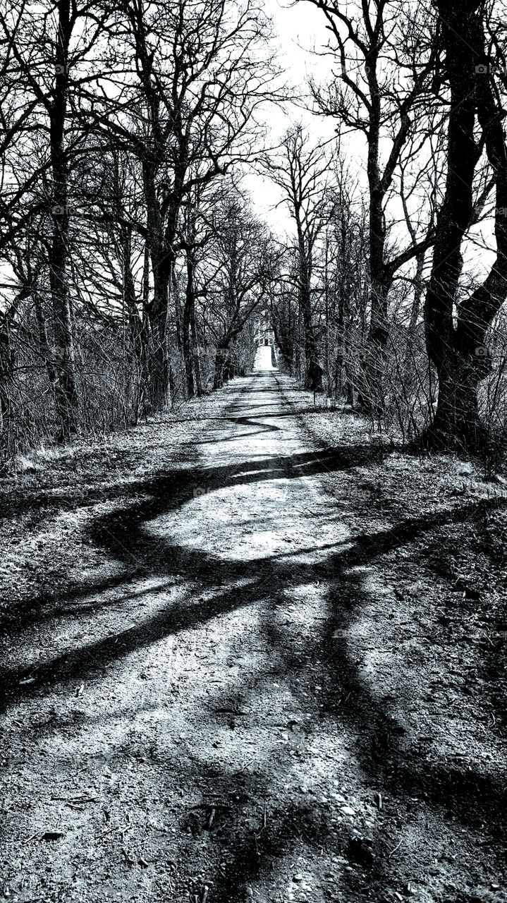 Forgotten road