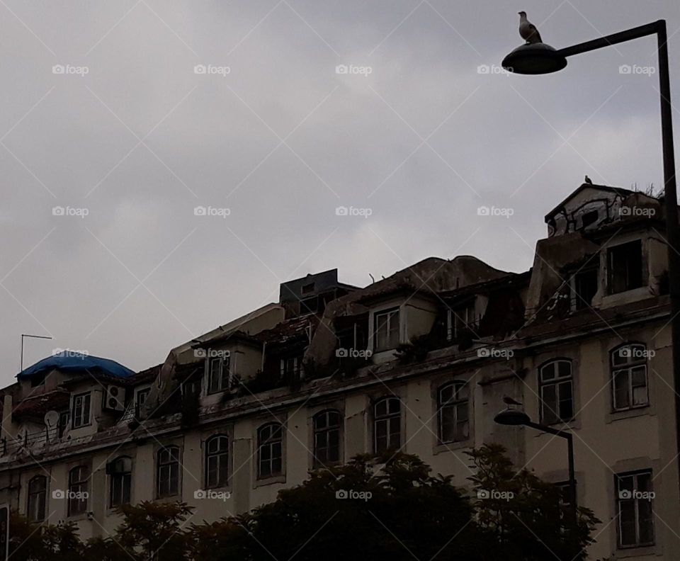 Old Houses, centre of Lisbon + The domain of the bird