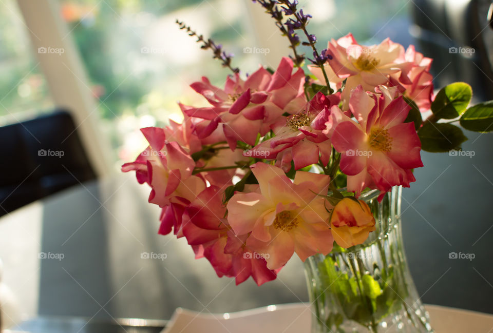 Bouquet of summer roses in sunlight on kitchen island with chairs in background fresh relaxing home simplicity and beauty conceptual photography 