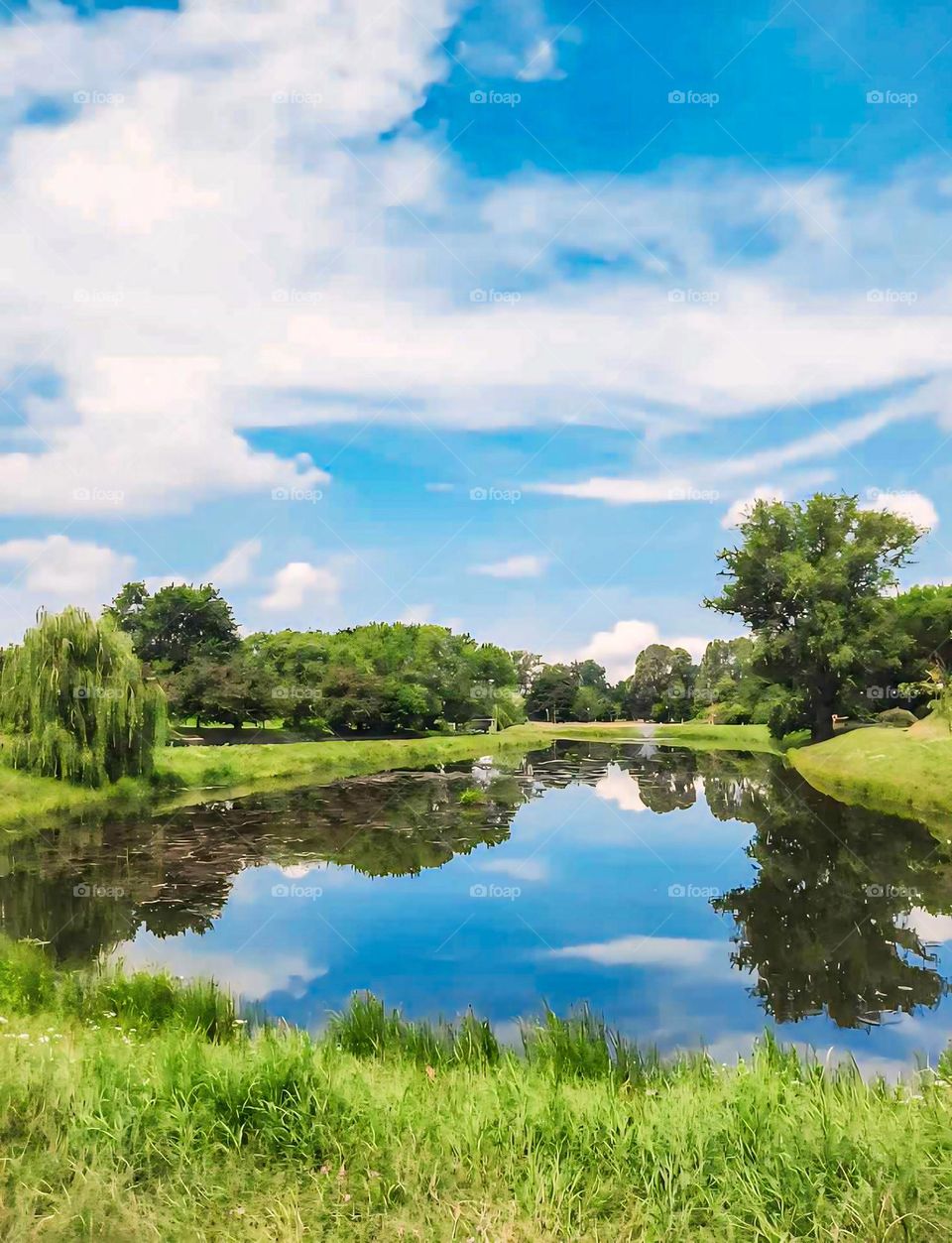 Tranquil River Landscape with Lush Greenery