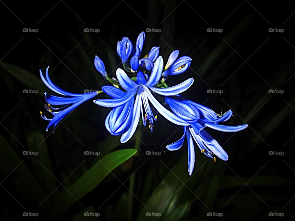 #Flower_Shop
#capturing_photos
#Beautiful_images
#Nature #Blumenladen
#Fotos_aufnehmen
#Wunderschöne_Bilder
#Natur