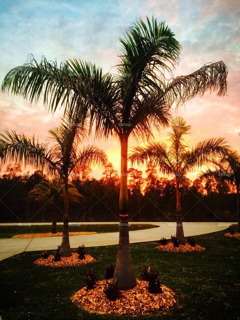 South Florida Sunset