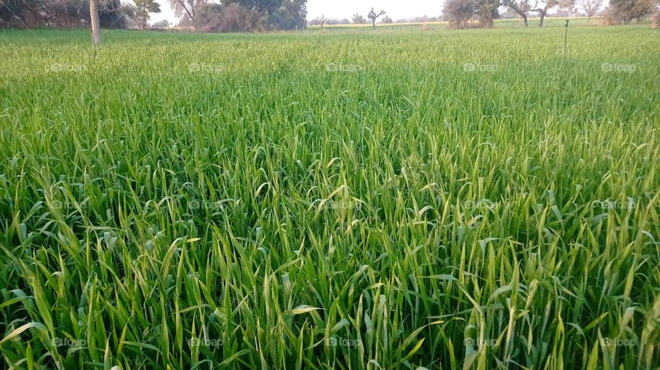 mornings aren't the same without you love