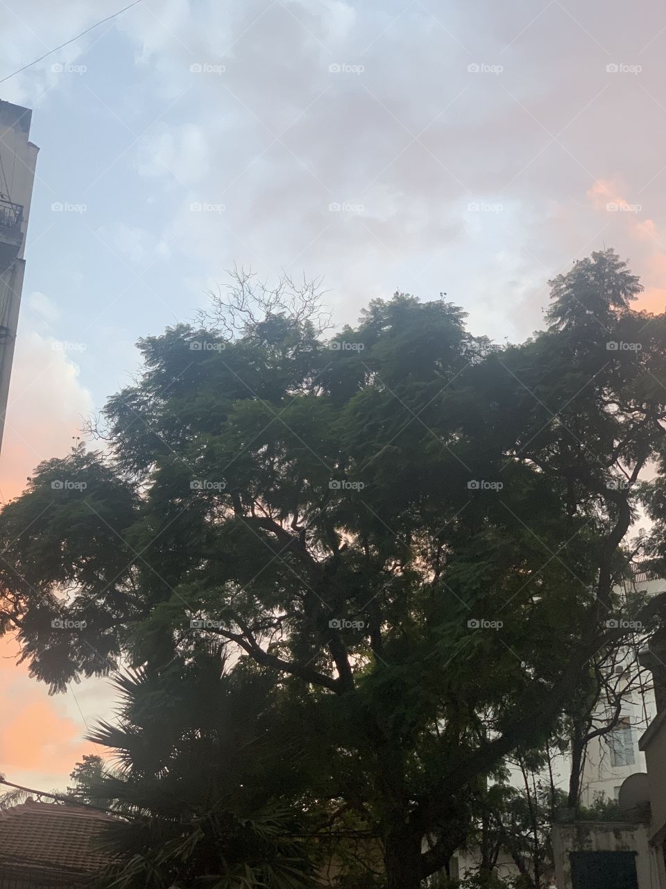 Few minutes before the sunset 