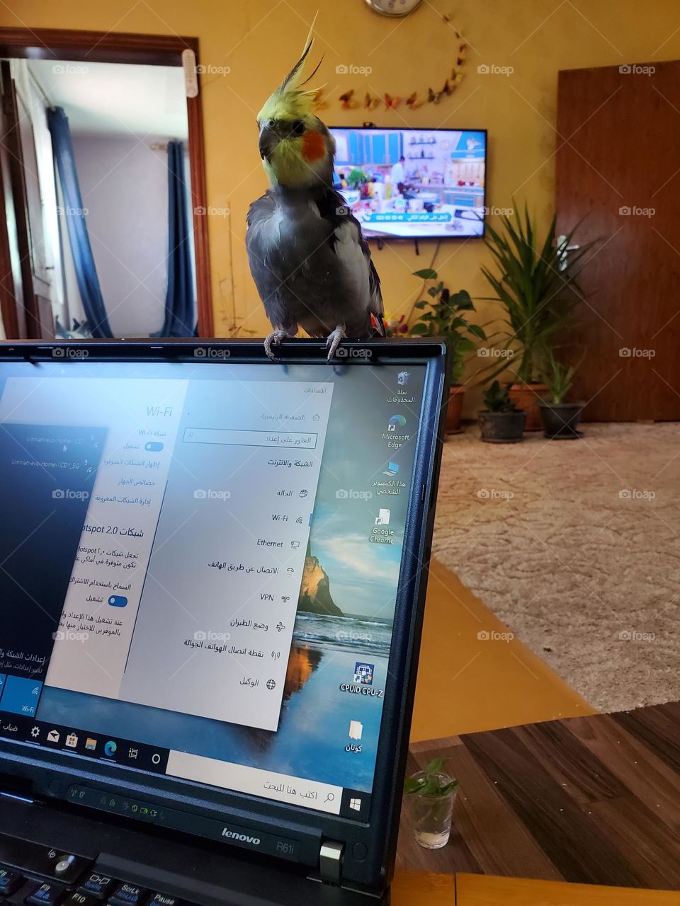 My little friend Max