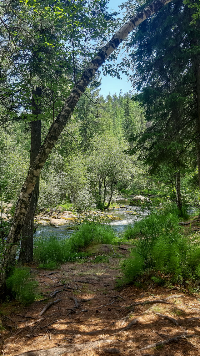 Nature