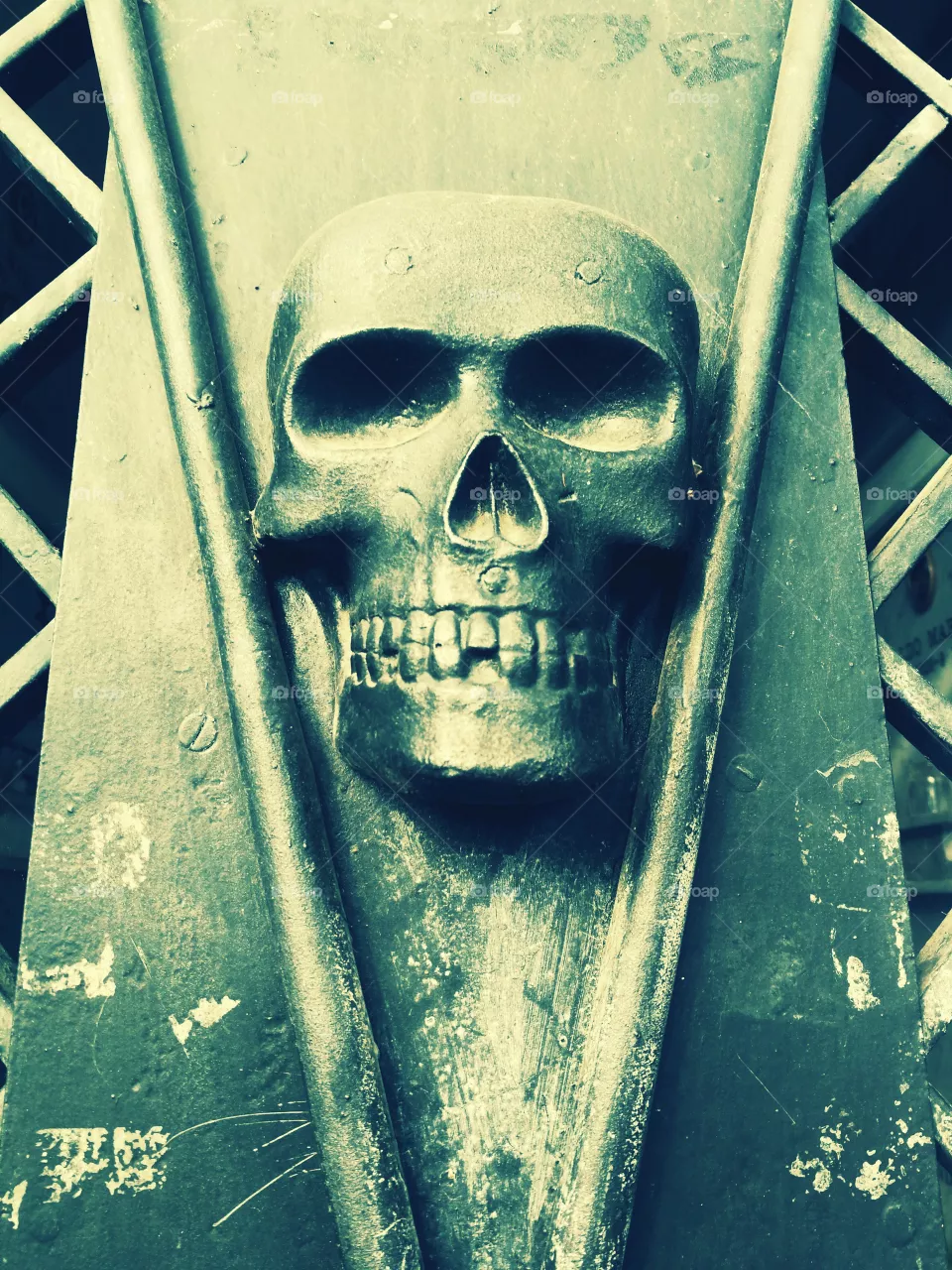 Skull