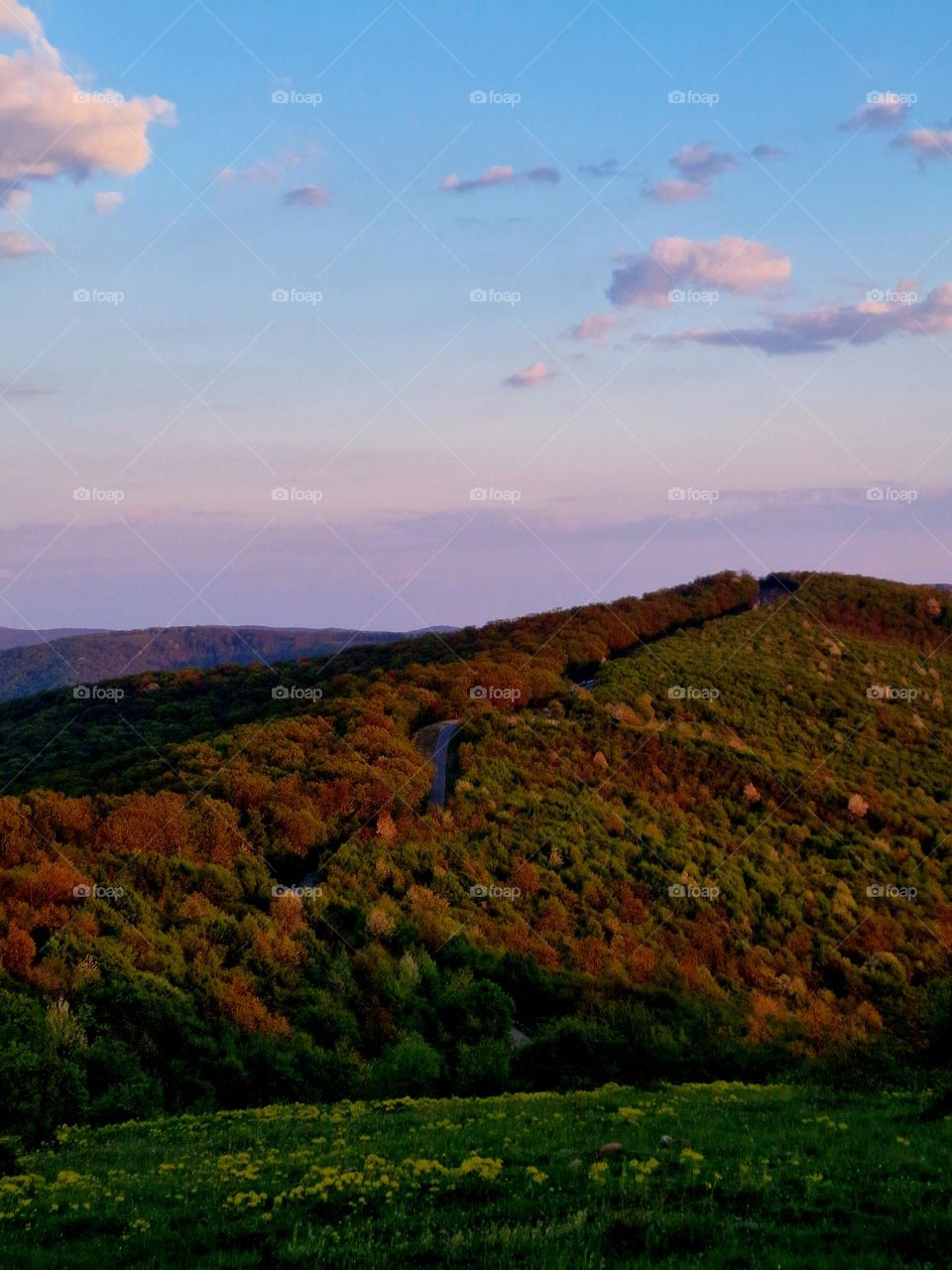 early autumn landscape