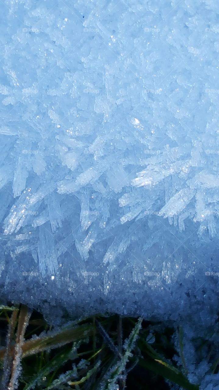 Frost, Snow, Winter, Ice, Cold