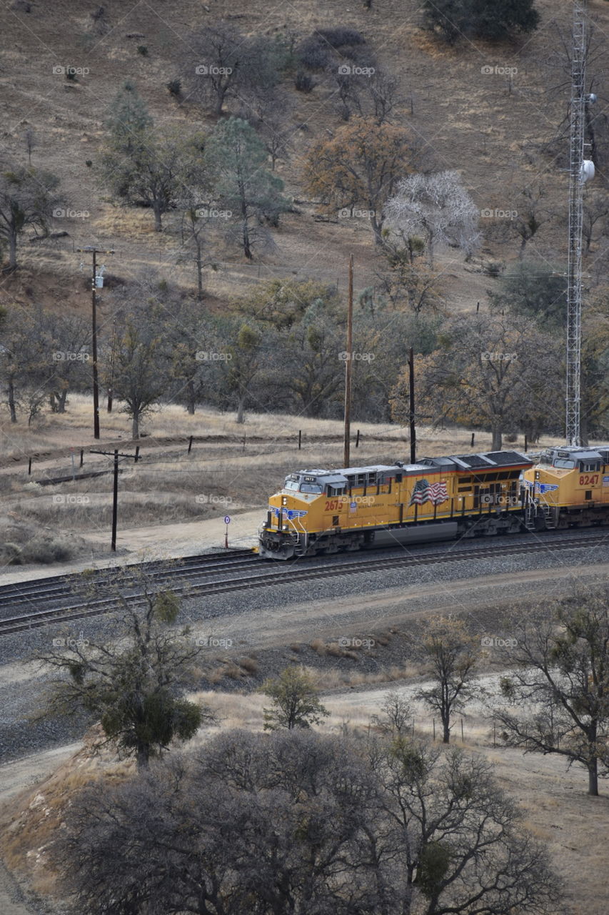 Union Pacific Train on the loop