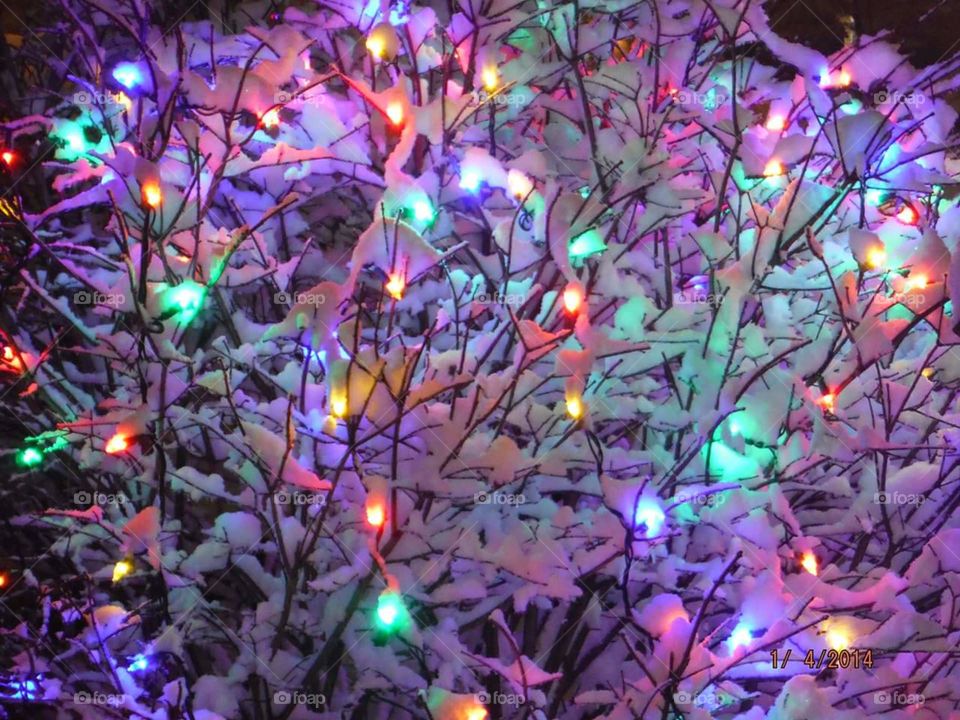 lights in snow