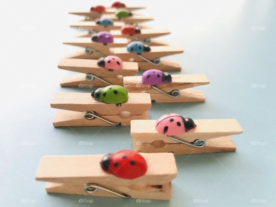 A colourful small lady bug holding clips arranged in a zigzag line.