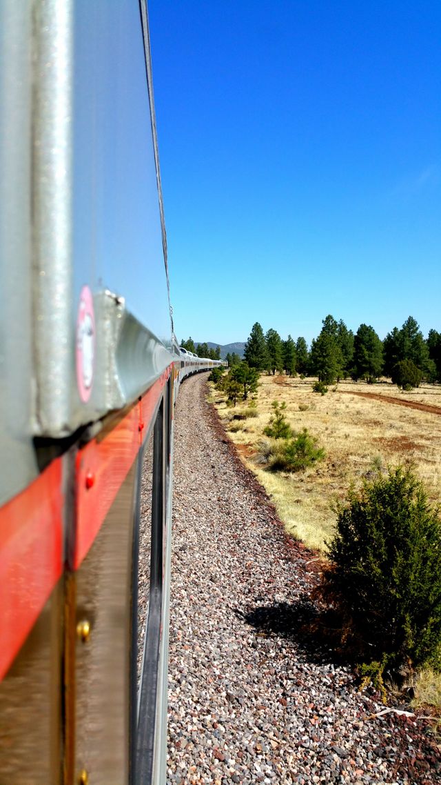Train 