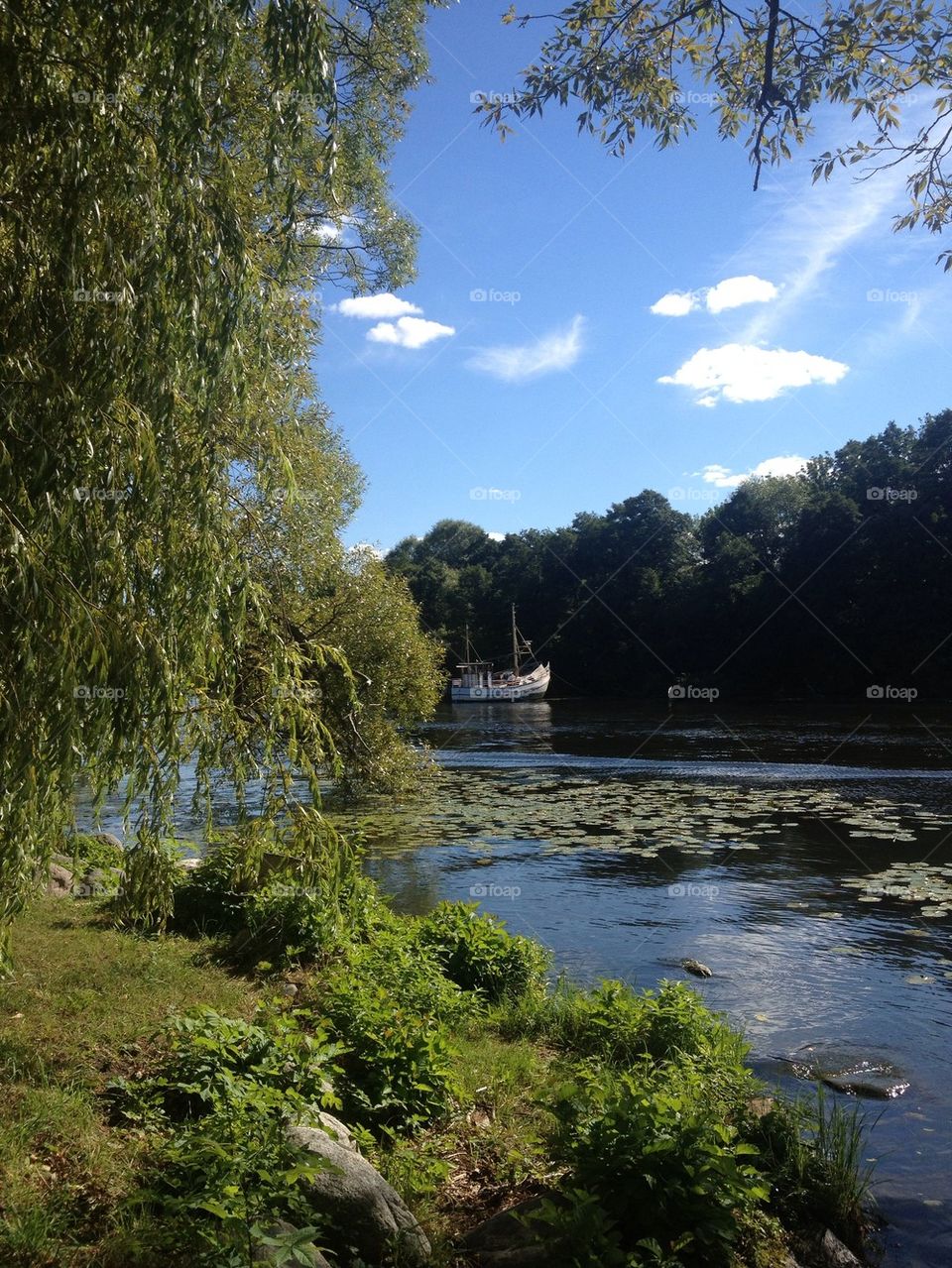 Lake, segling boat, summer, trees, Stockholm