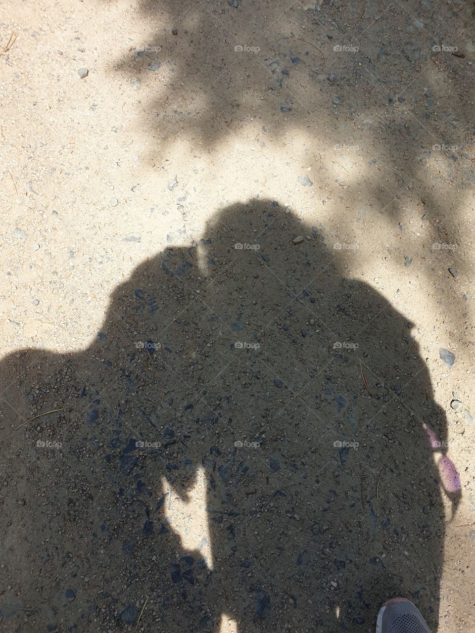 Palmengarten Frankfurt