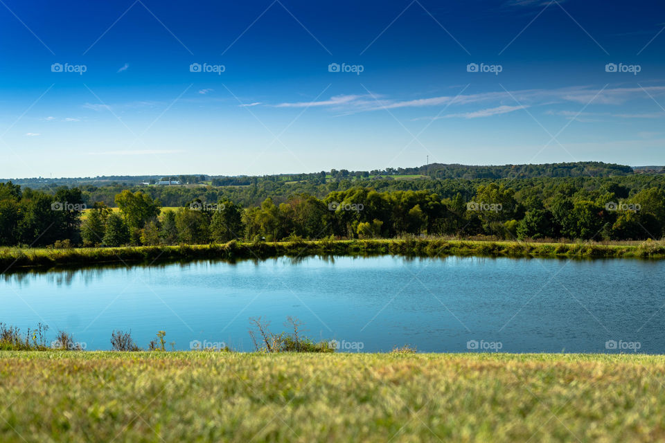 Wide scenic picture of a lake on a beautiful summer day with trees in the background. 