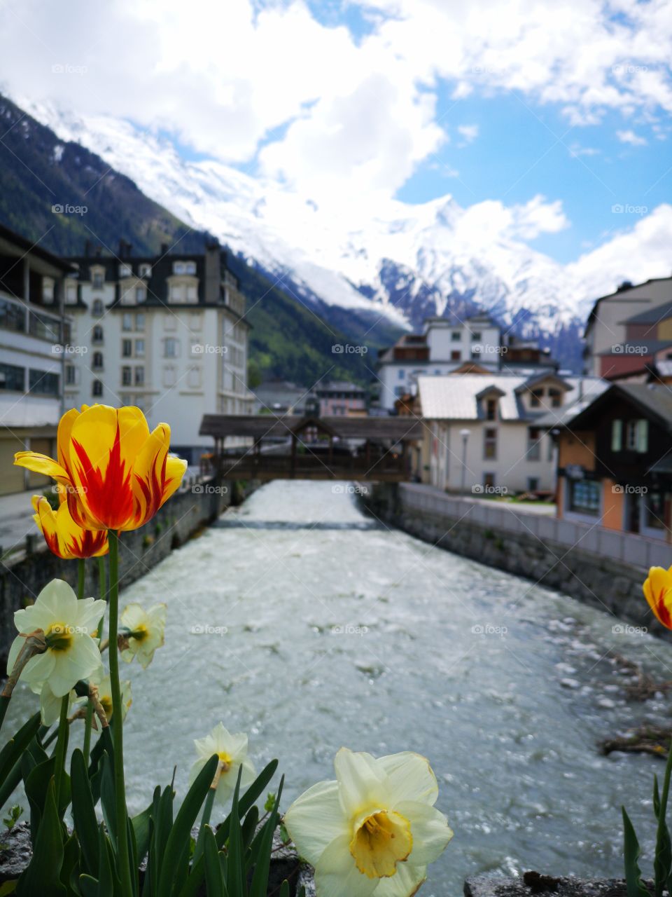 Pont de Chamonix avec tulipe