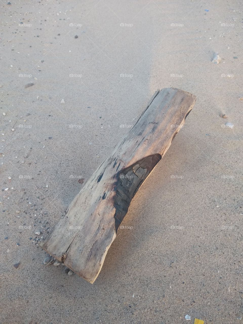 Unfiltered beautiful peice of wood on the beach