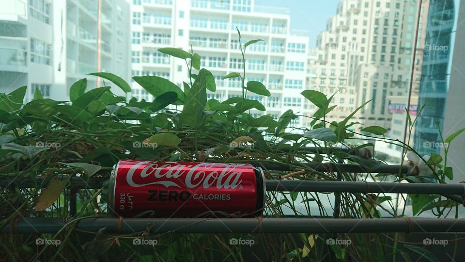 Welcome to Foap Plus!