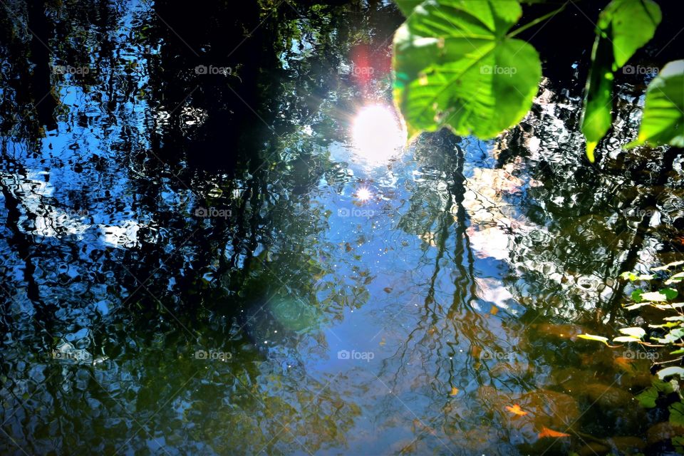 So beautiful it could be a painting.  Trees and the sun reflecting on the water.