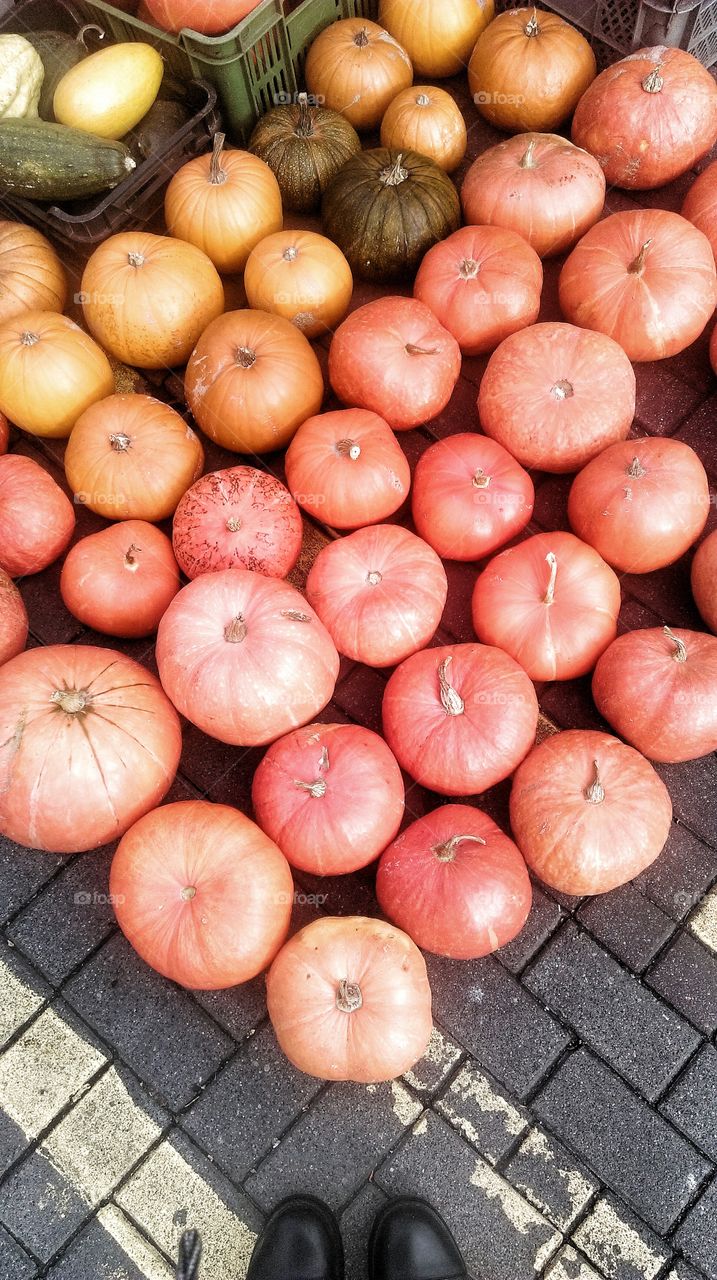 Bunch of pumpkins. Looking down on top of a bunch of pumpkins