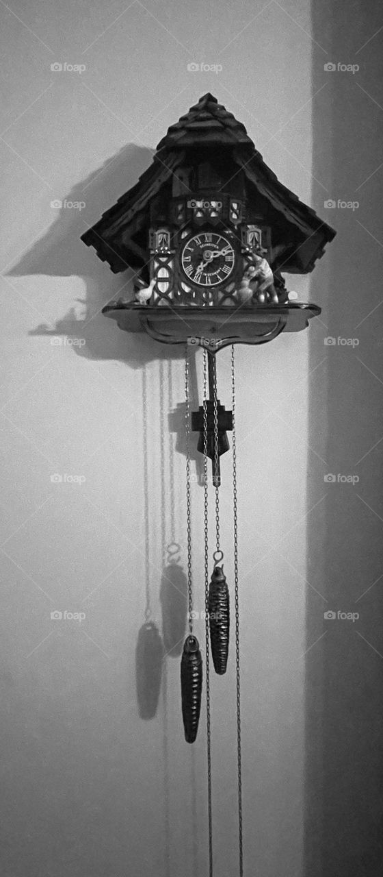 The cuckoo clock from the Black Forest in Germany is intricately carved and hangs proudly. The clock features detailed woodwork, with traditional motifs of animals and charming scenes from rural life. A small wooden cuckoo bird merges every hour.