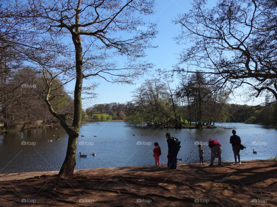 lake. People enjoying spring in Wollaton park on lake