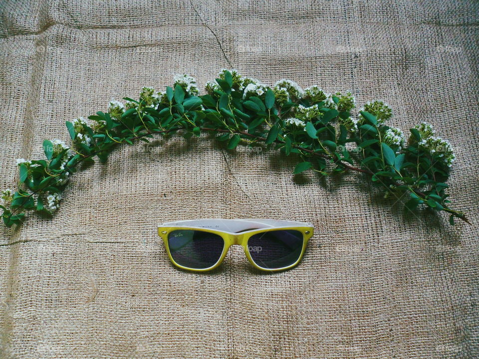 Sunglasses and a twig of flowers