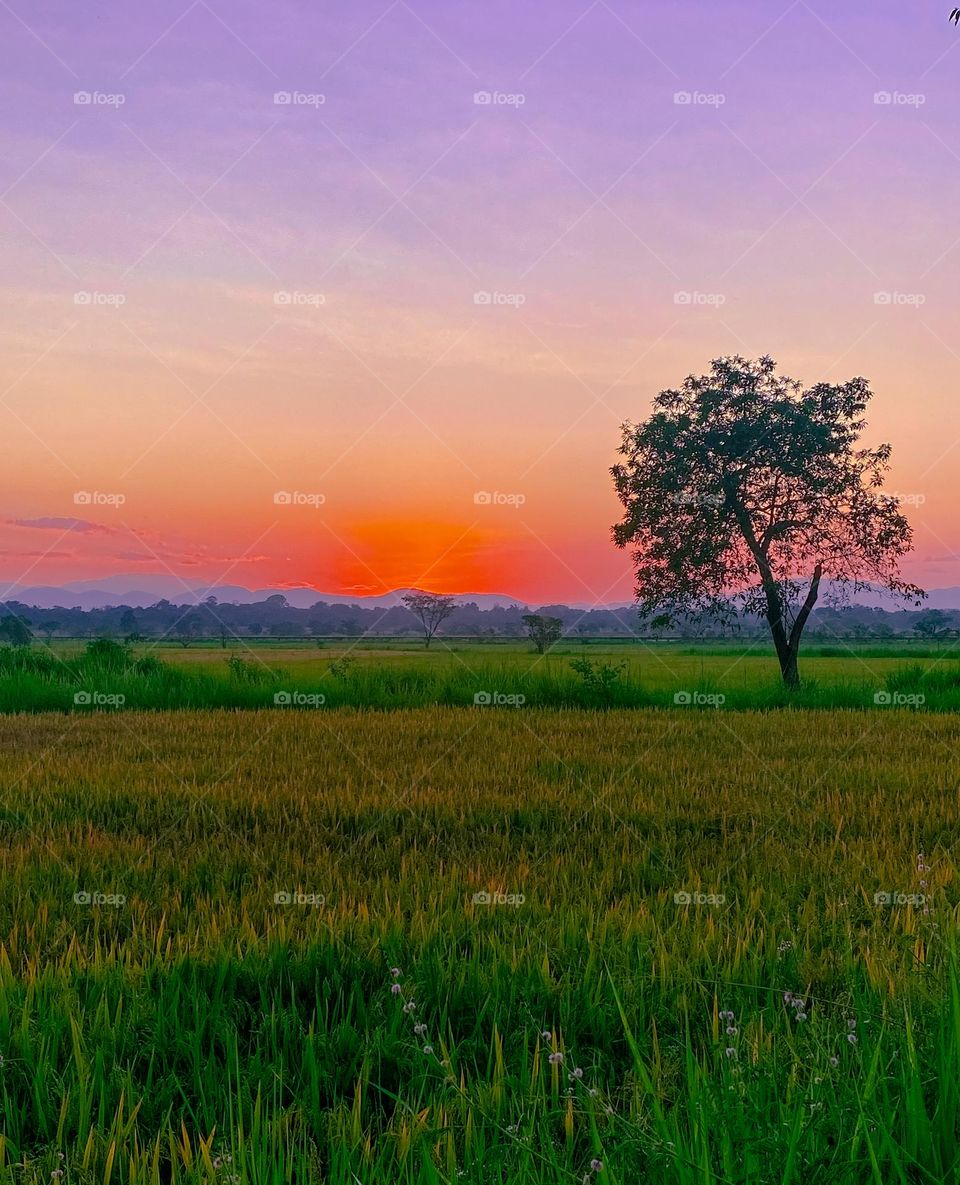 sunset over the mountain