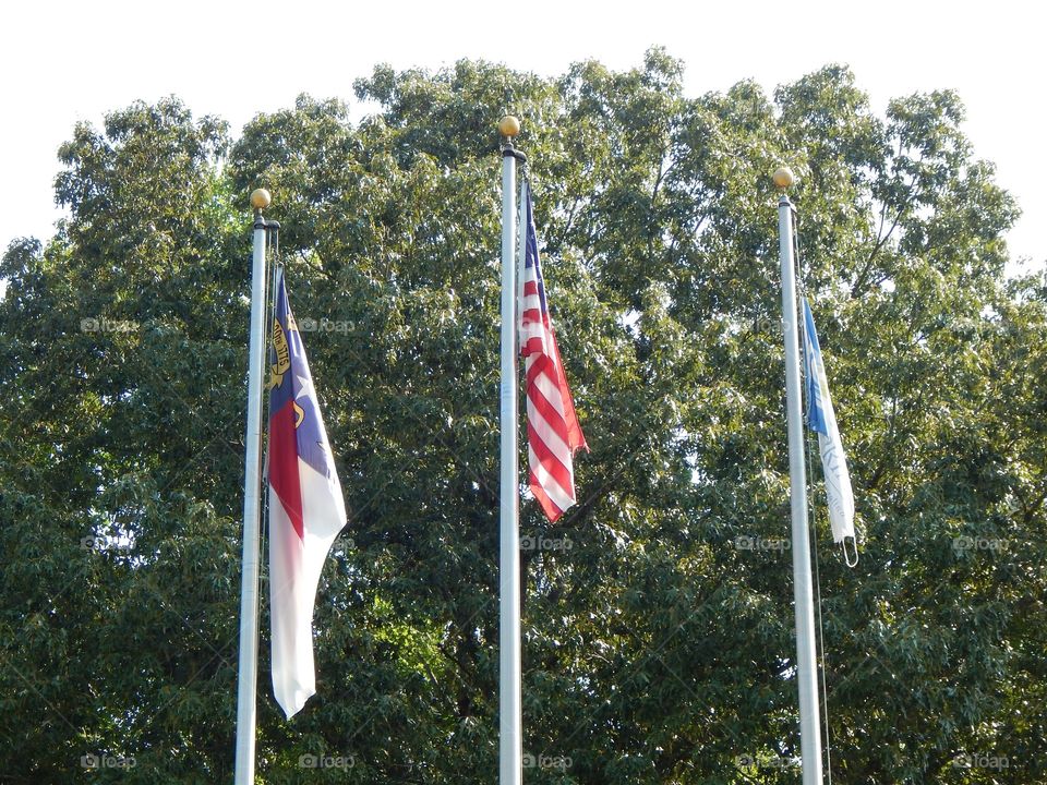 Three flags with a Tree background 