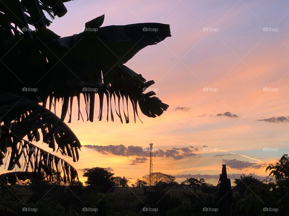 A colorful sunset. A great and beautiful way to end another wonderful day... A palm tree and some buildings in the city completes this end of day in a small city in the country side.