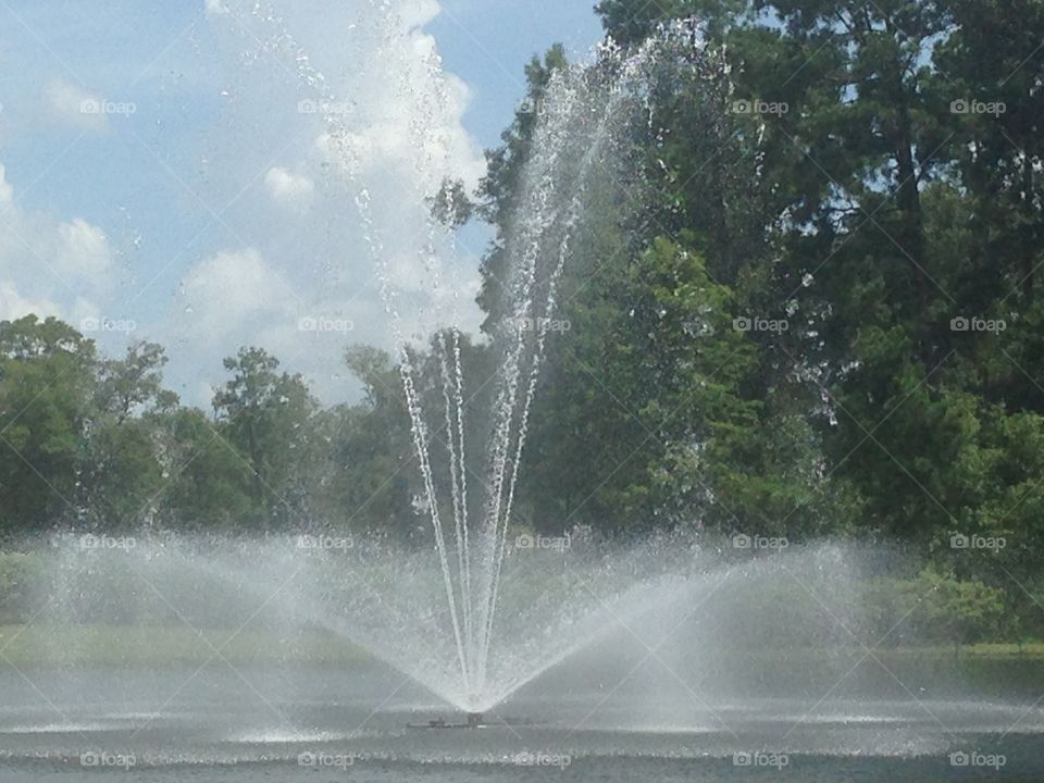 Fountains at Lodi Gardens