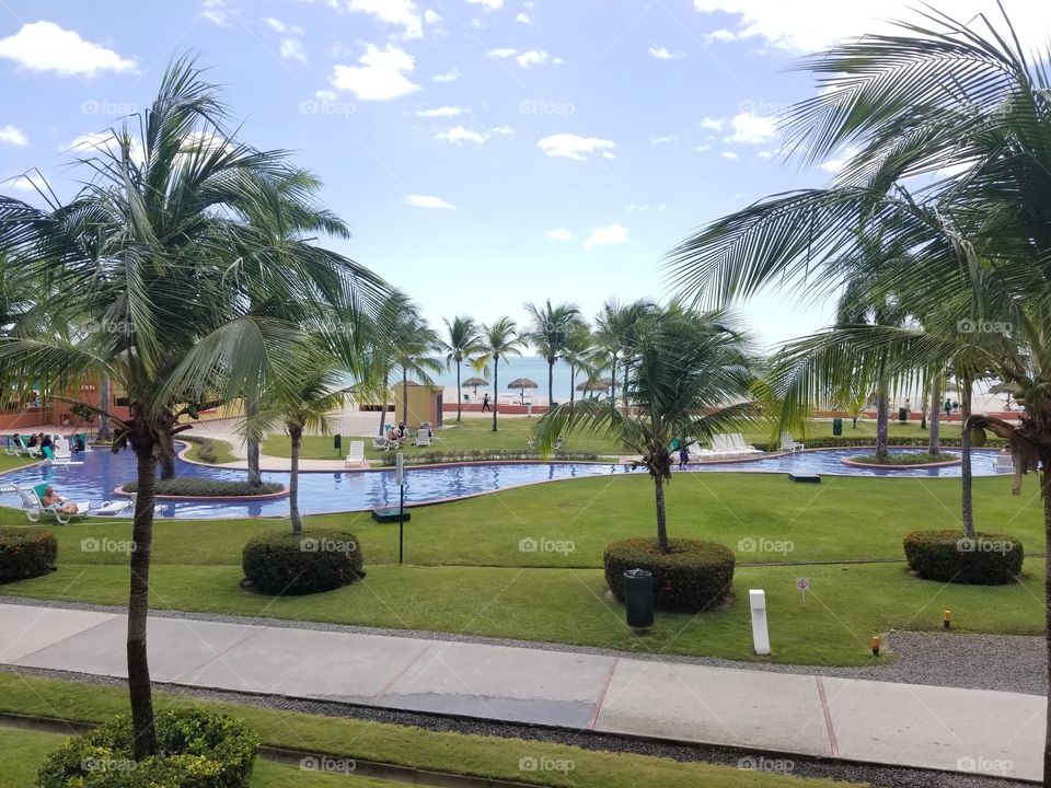 Palm, Resort, Tree, Hotel, Luxury